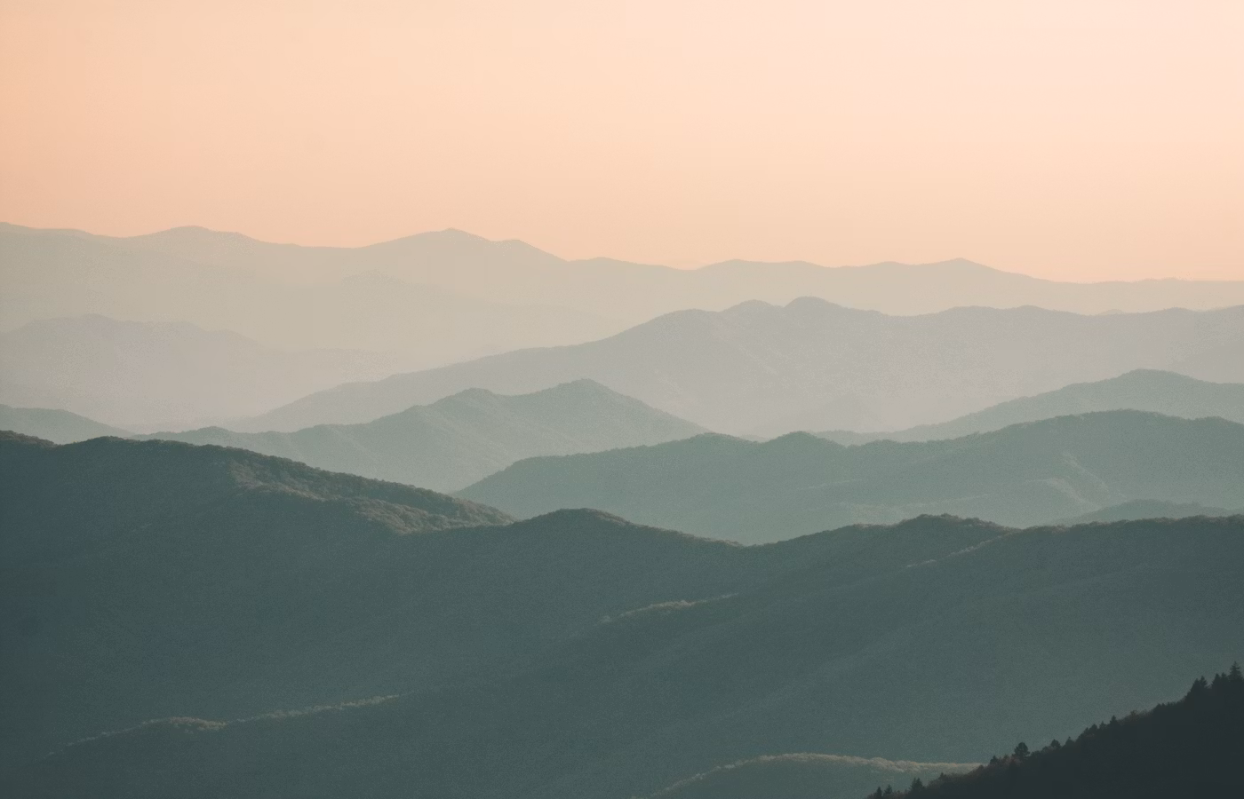 Карта решений онлайн в Новосибирск
